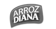 arroz diana